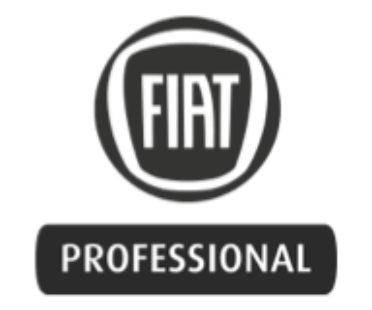 Fiat Professional Logo - Winter Kühlfahrzeuge by Baldinger