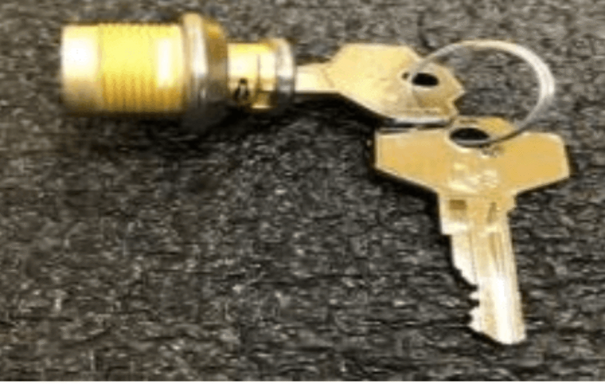 Messing Schlosszylinder Seitentüre Pastore Lombardi - Ältere Ausführung 180 Grad Drehung